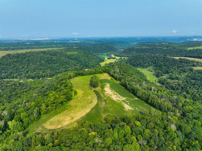 53 Acres Fillmore County, WI : Rushford : Fillmore County : Minnesota