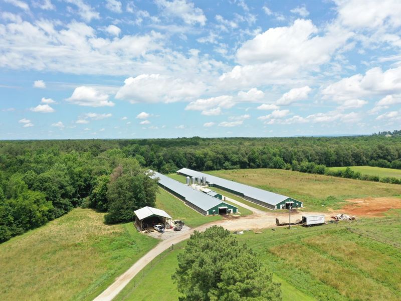 Shadow Lane Broiler Farm : Belvidere : Franklin County : Tennessee