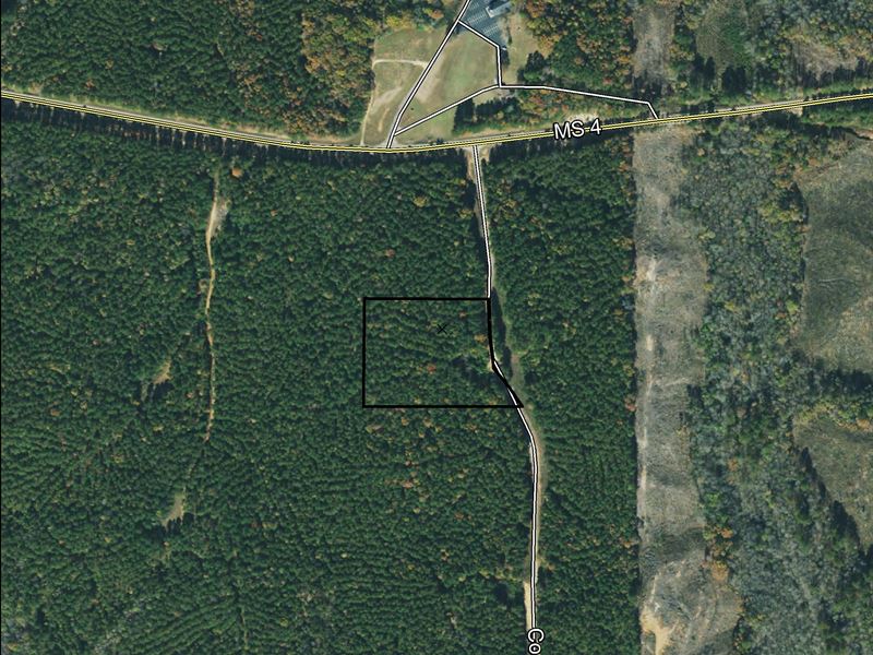 5 Acre Lot Near Bay Spring Lake : New Site : Prentiss County : Mississippi