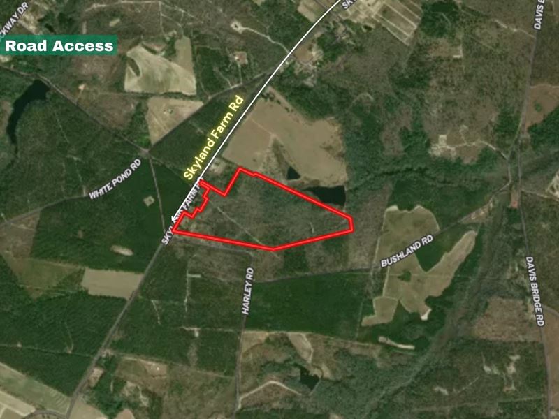 80.47 Acres in Barnwell County : Williston : Barnwell County : South Carolina