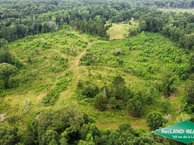 47.5 Ac, Timberland for Home Sites : Spearsville : Union Parish : Louisiana