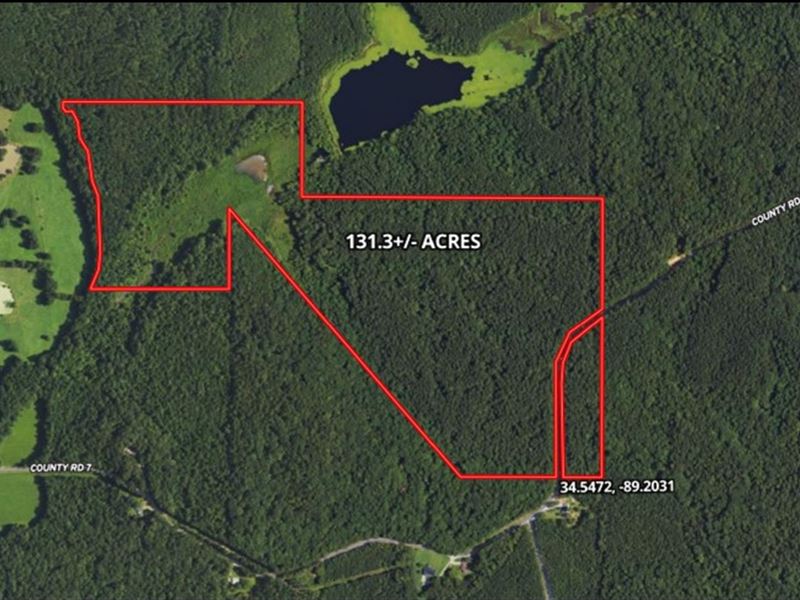 131.30 Acres in Union County in Hic : Hickory Flat : Union County : Mississippi