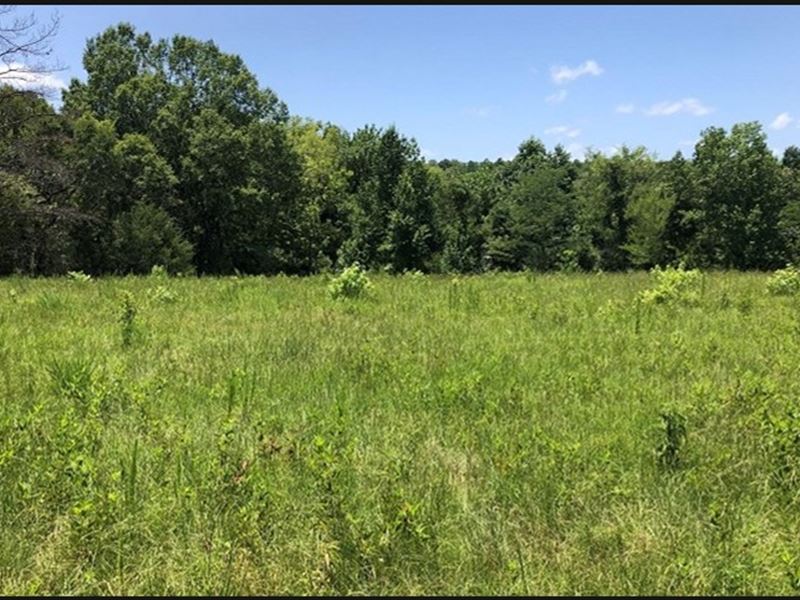 53.48 Acres in Holmes County in Lex : Lexington : Holmes County : Mississippi