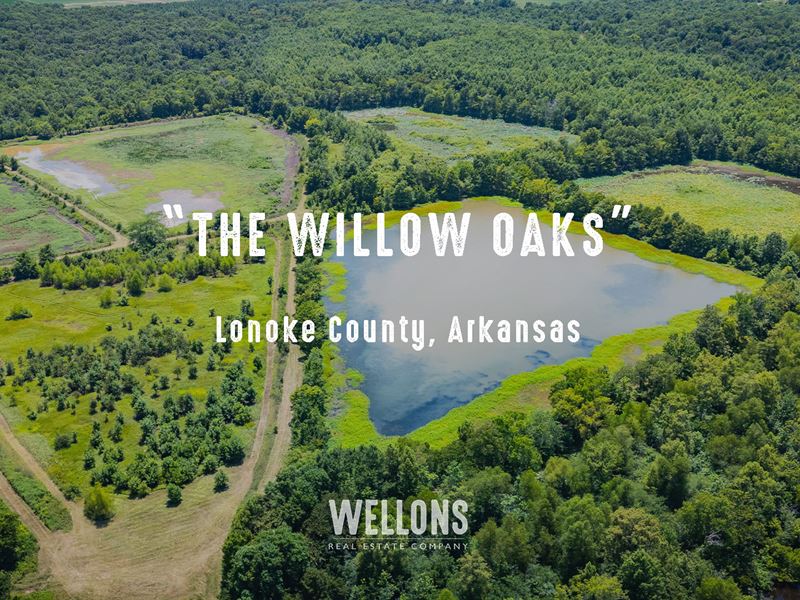 The Willow Oaks : Scott : Lonoke County : Arkansas