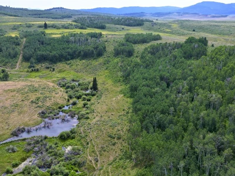 Wayan Creek Ranch : Wayan : Caribou County : Idaho