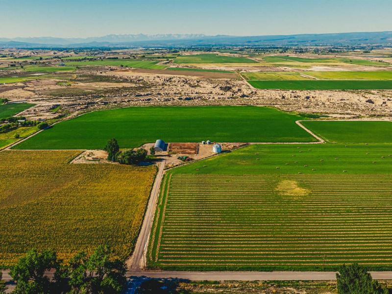 Montrose Irrigated Farm with Countr : Montrose : Montrose County : Colorado