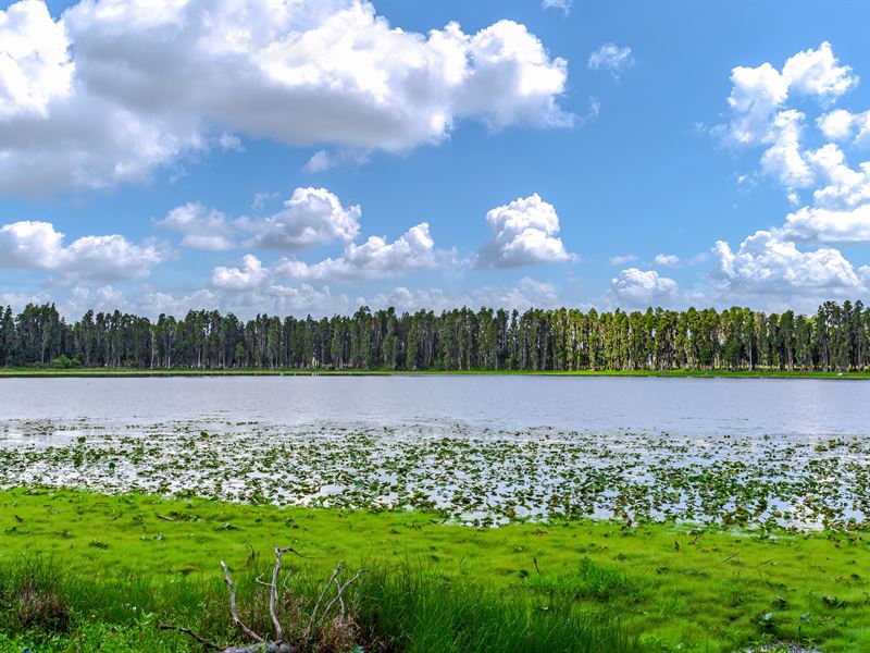 Carlton Lake Retreat : Wimauma : Hillsborough County : Florida