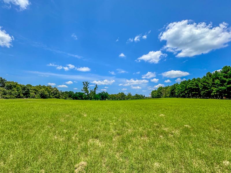 17 Acres, Private Road 2010 : Centerville : Leon County : Texas