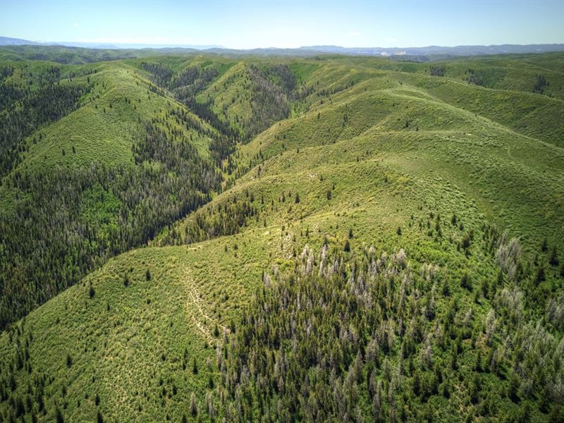 40 Mile Mountain Ranch, Cow Creek : Rifle : Garfield County : Colorado