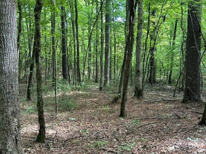 29.3 Acres in Carroll County in Wes : West : Carroll County : Mississippi