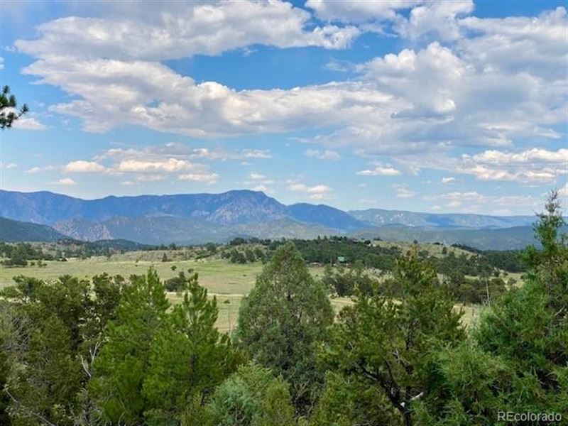 Build Your Dream Home : Cotopaxi : Fremont County : Colorado