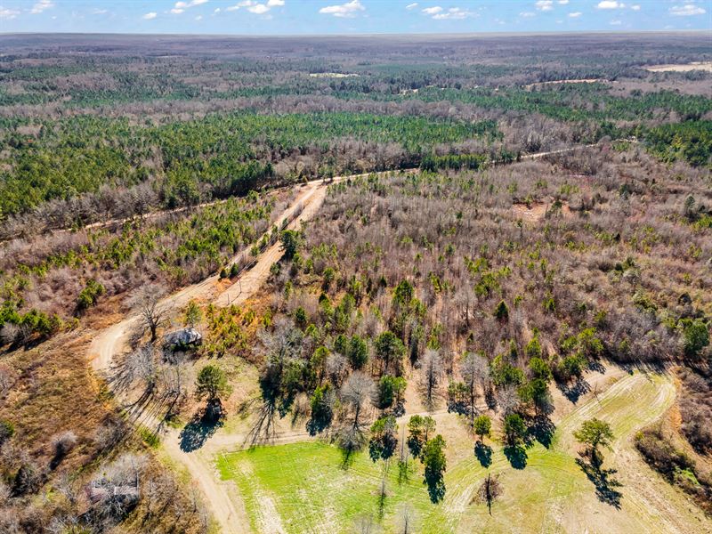 9.75 Acres in Lee County, AL : Auburn : Lee County : Alabama