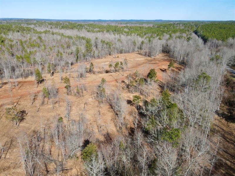 Dinner Creek Mini Farm 16 Acres : Cragford : Clay County : Alabama