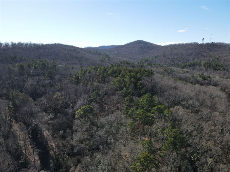 Pinson Mountain Tract, 62 Acres : Anniston : Calhoun County : Alabama