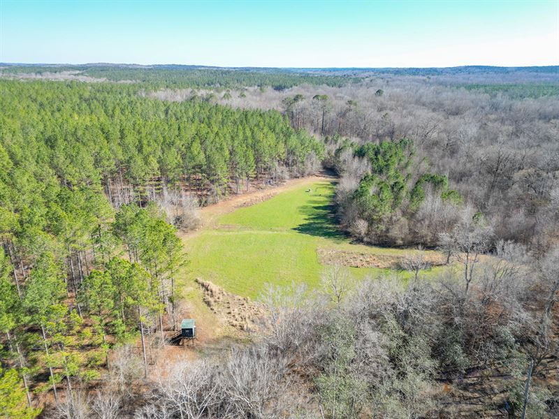 207 Ac Chambers Co, Sportsman's : Lafayette : Chambers County : Alabama