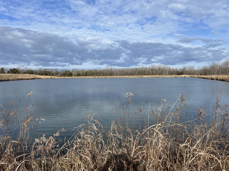 Catfish Farm in Perry County, AL : Uniontown : Perry County : Alabama