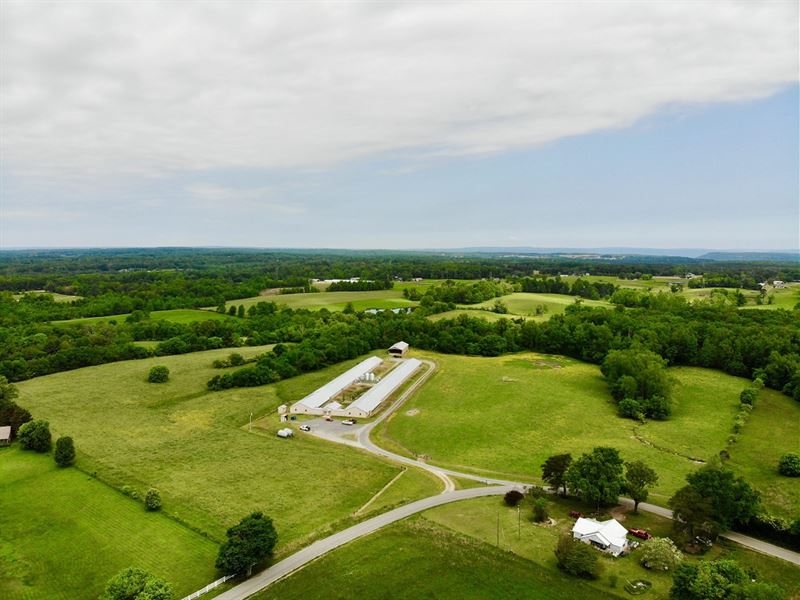 Hurricane Creek Breeder Farm : Trenton : Dade County : Georgia