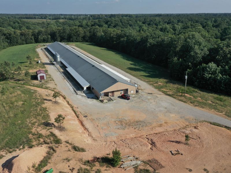 Just Got Laid Ggp Poultry Farm : Lawrenceburg : Wayne County : Tennessee