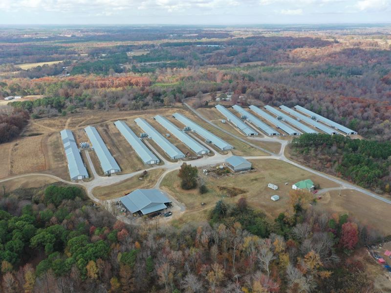 North Ridge Broiler Farm : Henagar : Dekalb County : Alabama