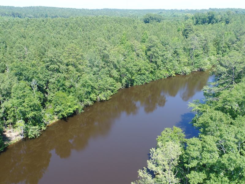 130 Ac Crenshaw Co with Pond : Patsburg : Crenshaw County : Alabama