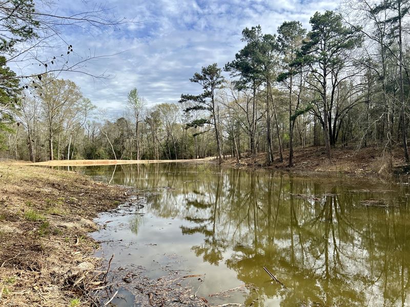 Banks Pond and Home Site : Troy : Pike County : Alabama