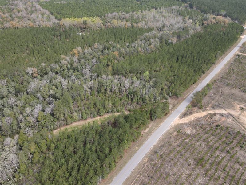 145 Acres Old Foshee Rd : Flomaton : Escambia County : Alabama