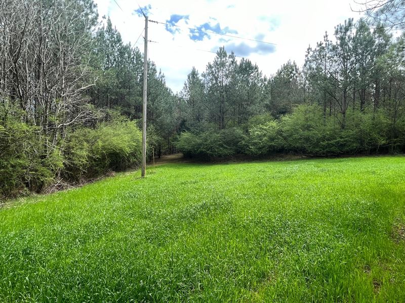 52.2 Ac Near Greenville, AL : Greenville : Butler County : Alabama