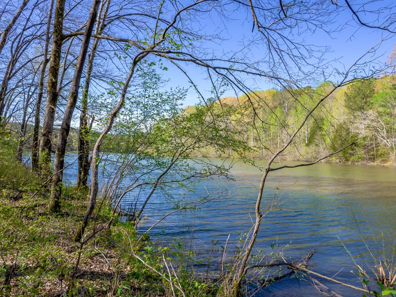 Elliott Reservoir 207 Acres : Russellville : Franklin County : Alabama