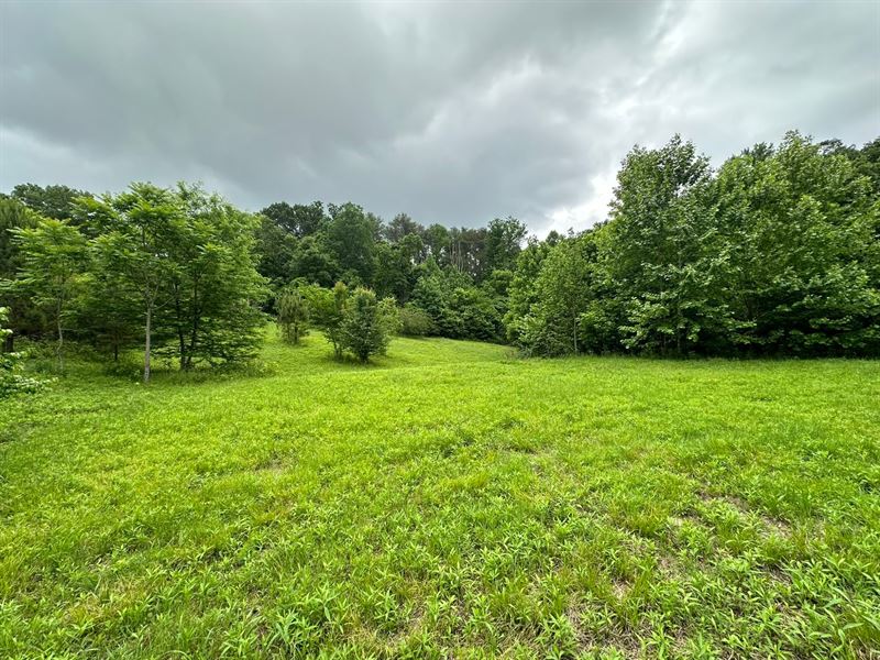 90 Acres & Homesite, Cullman Co : Falkville : Cullman County : Alabama