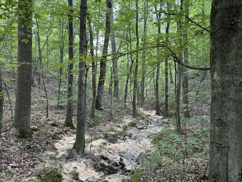 Price Improvement, 60 Acres Hwy : Guntersville : Marshall County : Alabama