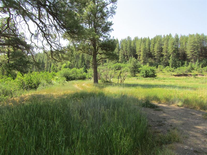 Rusty Spur Ranch : Pagosa Springs : Archuleta County : Colorado