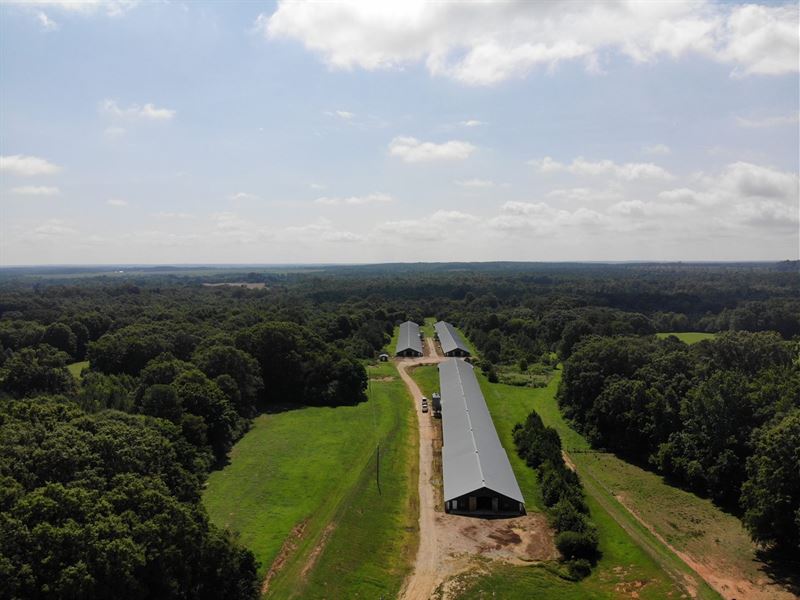 Nimmons Broiler Farm : Lexington : Oglethorpe County : Georgia