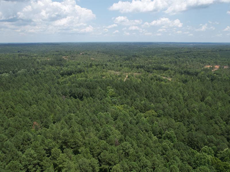 162 Acres, Elbert County, GA : Elberton : Elbert County : Georgia