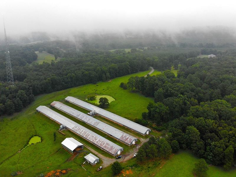 Circle P Broiler Farm : Adairsville : Bartow County : Georgia