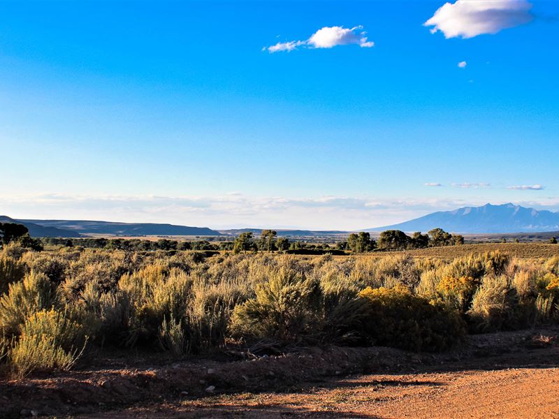 Views Of The Sanchez Reservoir : San Luis : Costilla County : Colorado