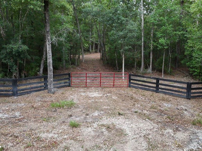 Beautiful End Lot 8 : Saint George : Charlton County : Georgia