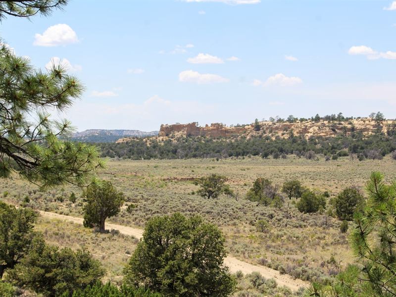 San Isidro Mesa Ranch, 297 ac : Cuba : Sandoval County : New Mexico