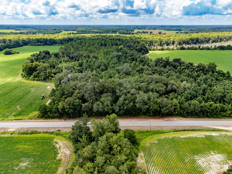 Spring Creek Farm Lot C 37 Ac : Cottonwood : Houston County : Alabama