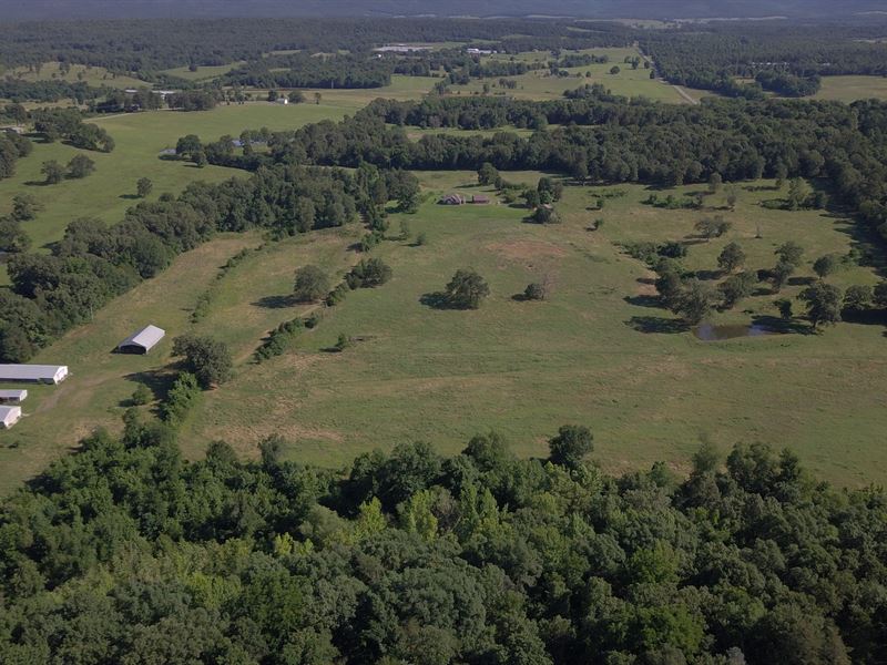 Beautiful Farm with Brick Home : Hartman : Arkansas County : Arkansas