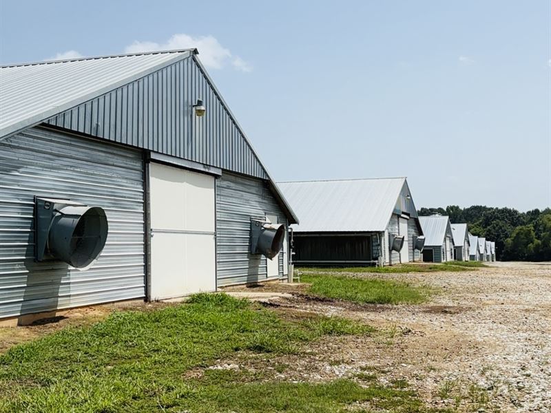 8 House Poultry Farm on 62 Acres : Kosciusko : Attala County : Mississippi