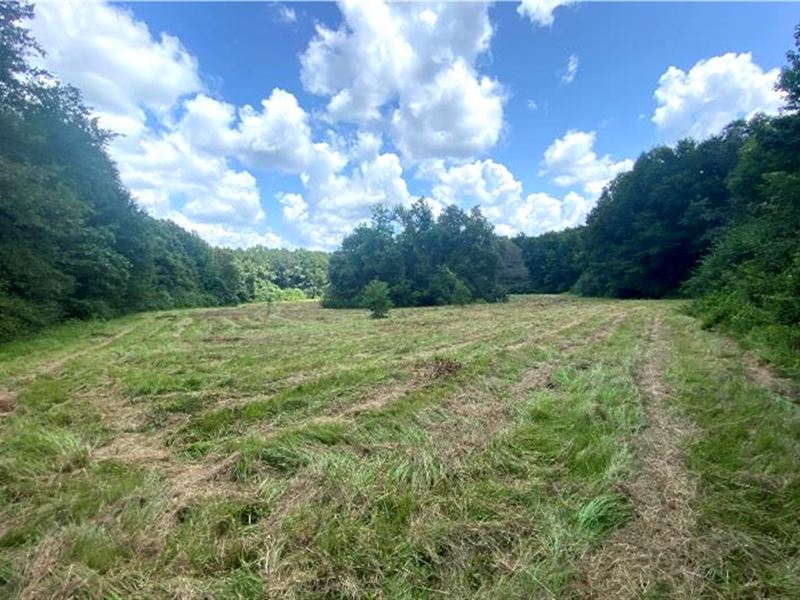 33.7 Acres in Scott County in Morto : Morton : Scott County : Mississippi