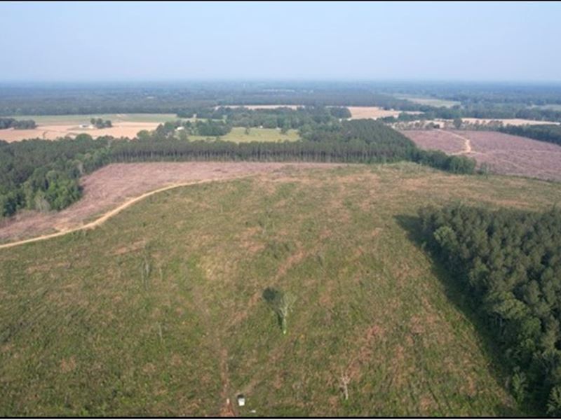 45.8 Acres in Rankin County in Pela : Pelahatchie : Rankin County : Mississippi