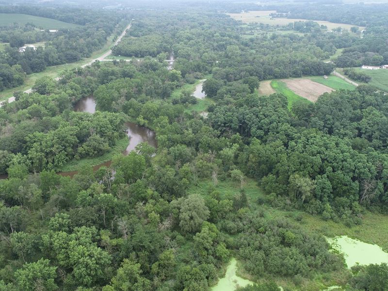 43 Acres Buffalo County, WI : Mondovi : Buffalo County : Wisconsin