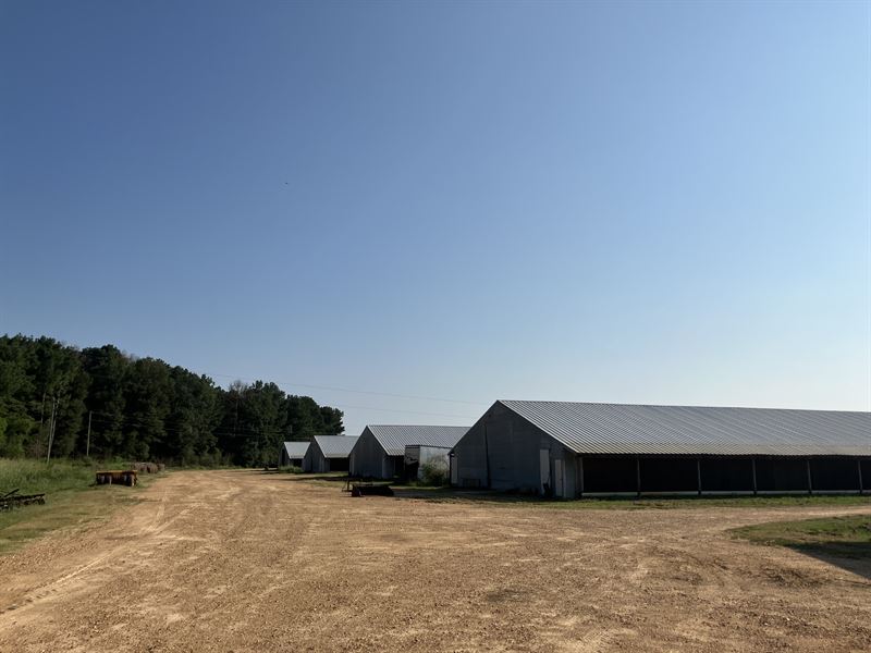 Rare 14 House Broiler Farm in SW MS : Jayess : Lawrence County : Mississippi