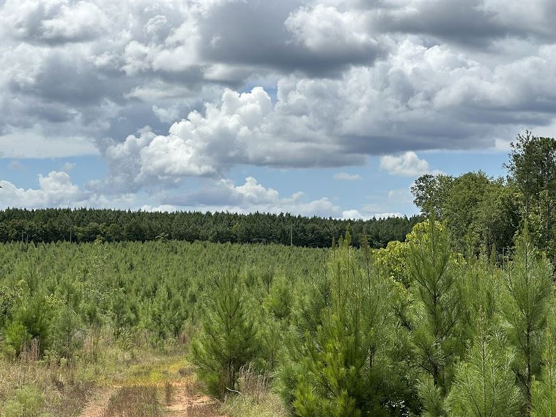 Level Land South : Due West : Abbeville County : South Carolina