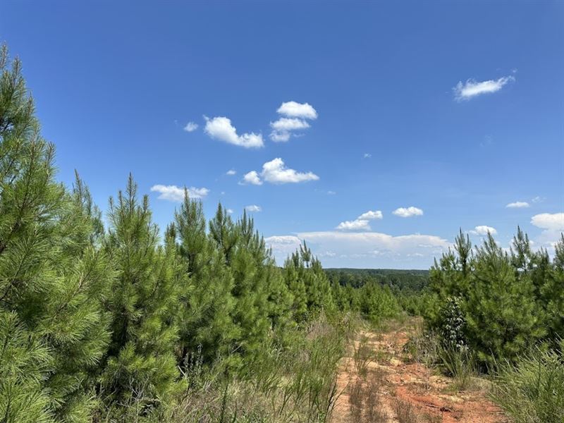 Level Land North : Due West : Abbeville County : South Carolina