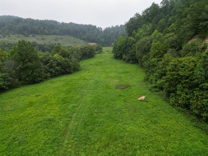 Teague Hollow Farm : Williamsburg : Whitley County : Kentucky