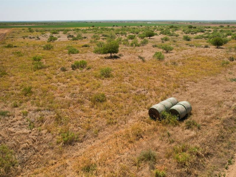 142 Acres Farm Hardeman County TX : Quanah : Hardeman County : Texas