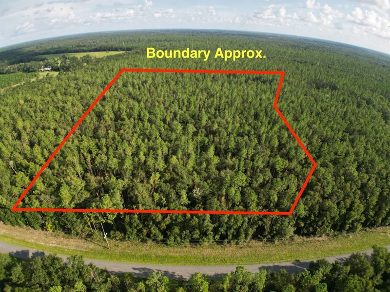 Your Gateway to Nature 10.04 Acres : McAlpin : Suwannee County : Florida