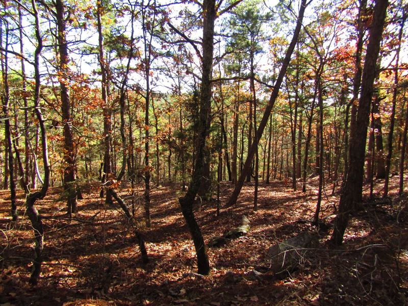 Kiamichi Wilderness Shorty Creek 5a : Moyers : Pushmataha County : Oklahoma